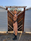 Jean Paul Gaultier S/S 1995 Creation of Adam Sepia Mesh Dress | Rare Museum Print