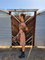 Jean Paul Gaultier S/S 1995 Creation of Adam Sepia Mesh Dress | Rare Museum Print