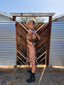 Jean Paul Gaultier S/S 1995 Creation of Adam Sepia Mesh Dress | Rare Museum Print